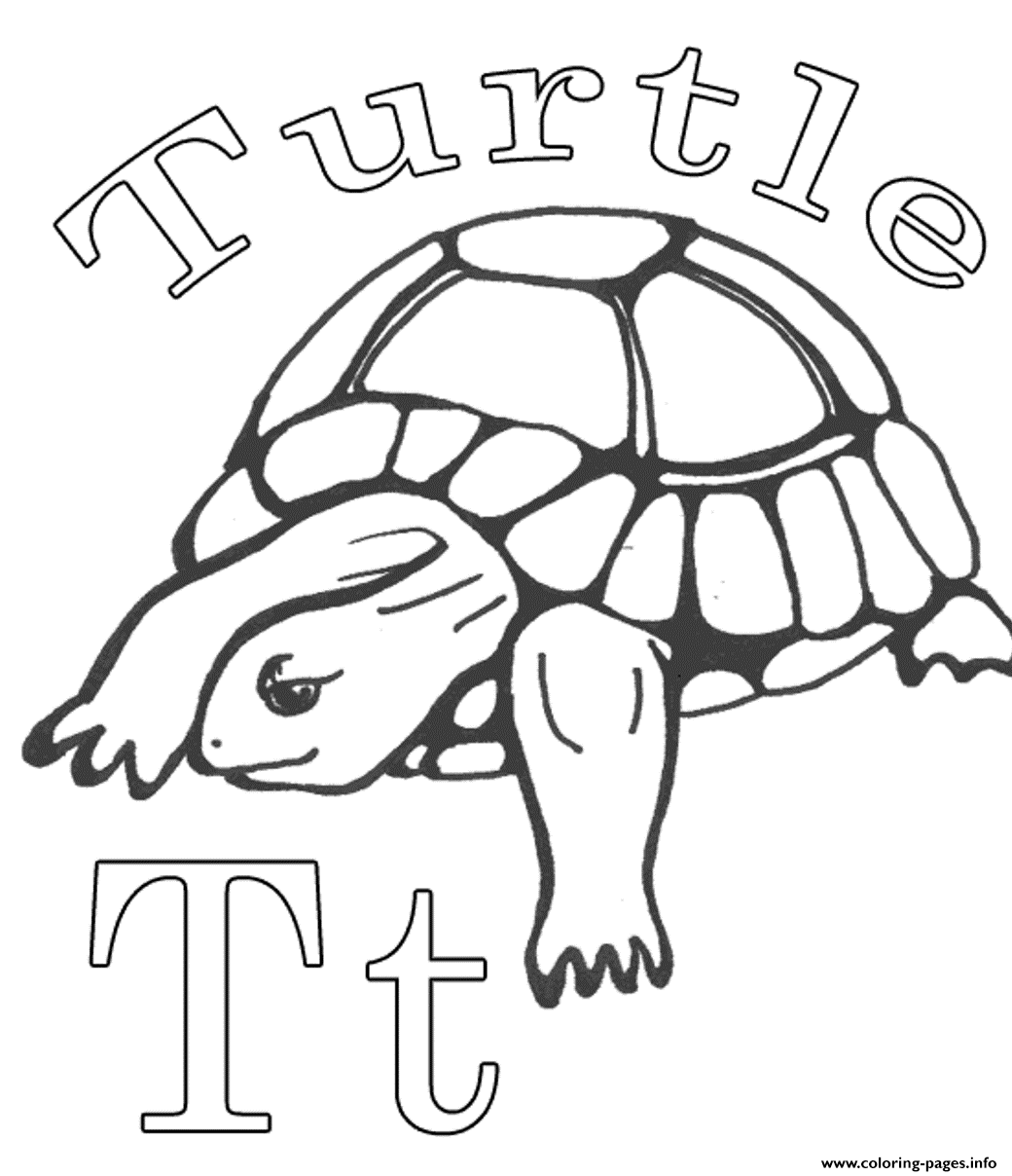 Alphabet  Turtle Animal97b5 coloring