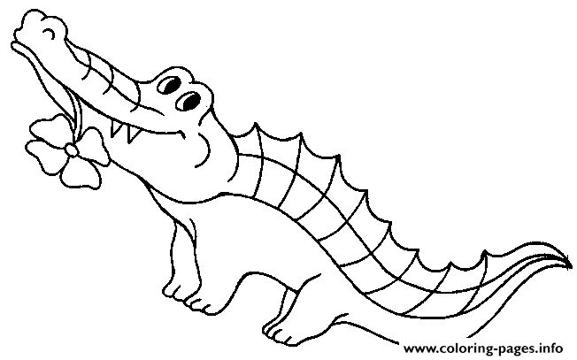 Crocodile Preschool S Zoo Animals294f coloring