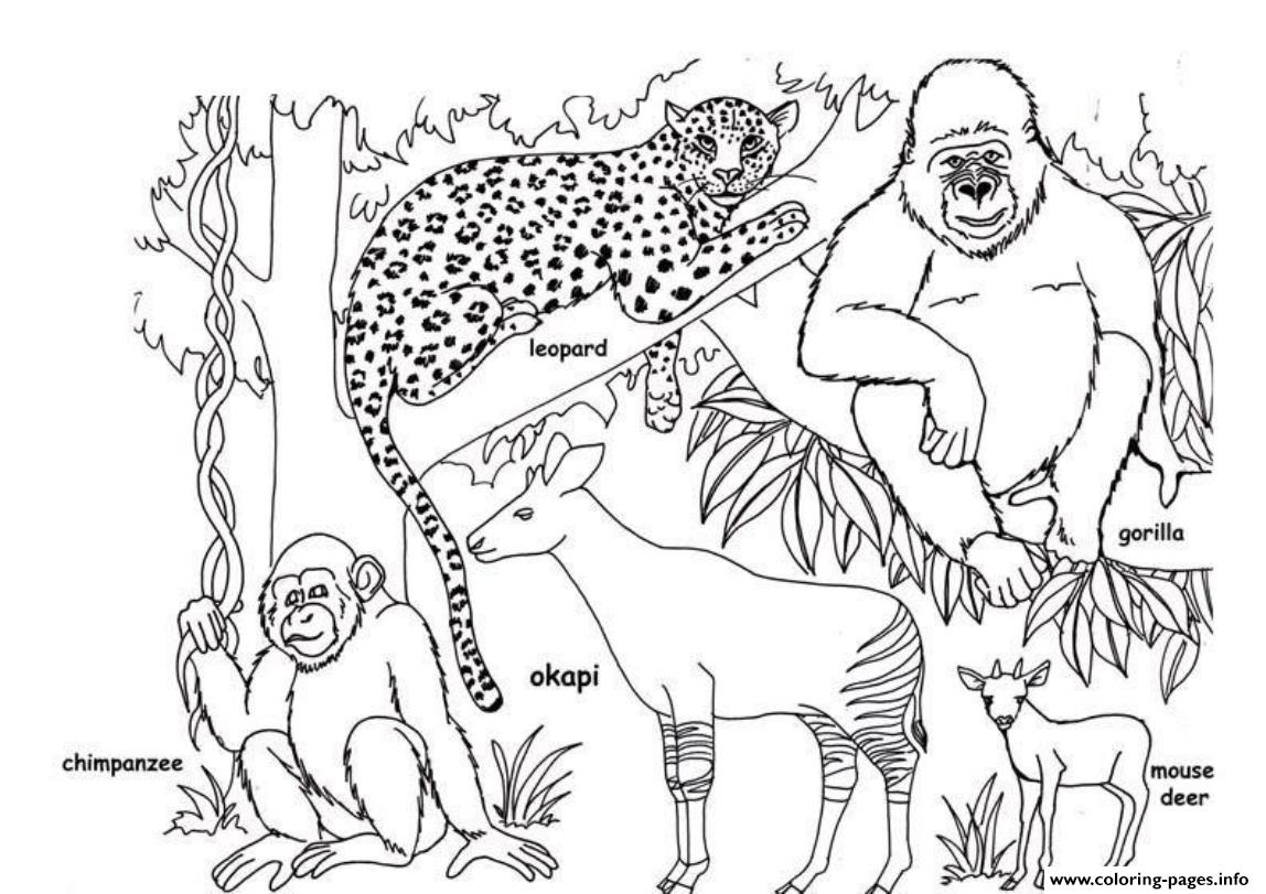 African Animal S Free4a45 coloring