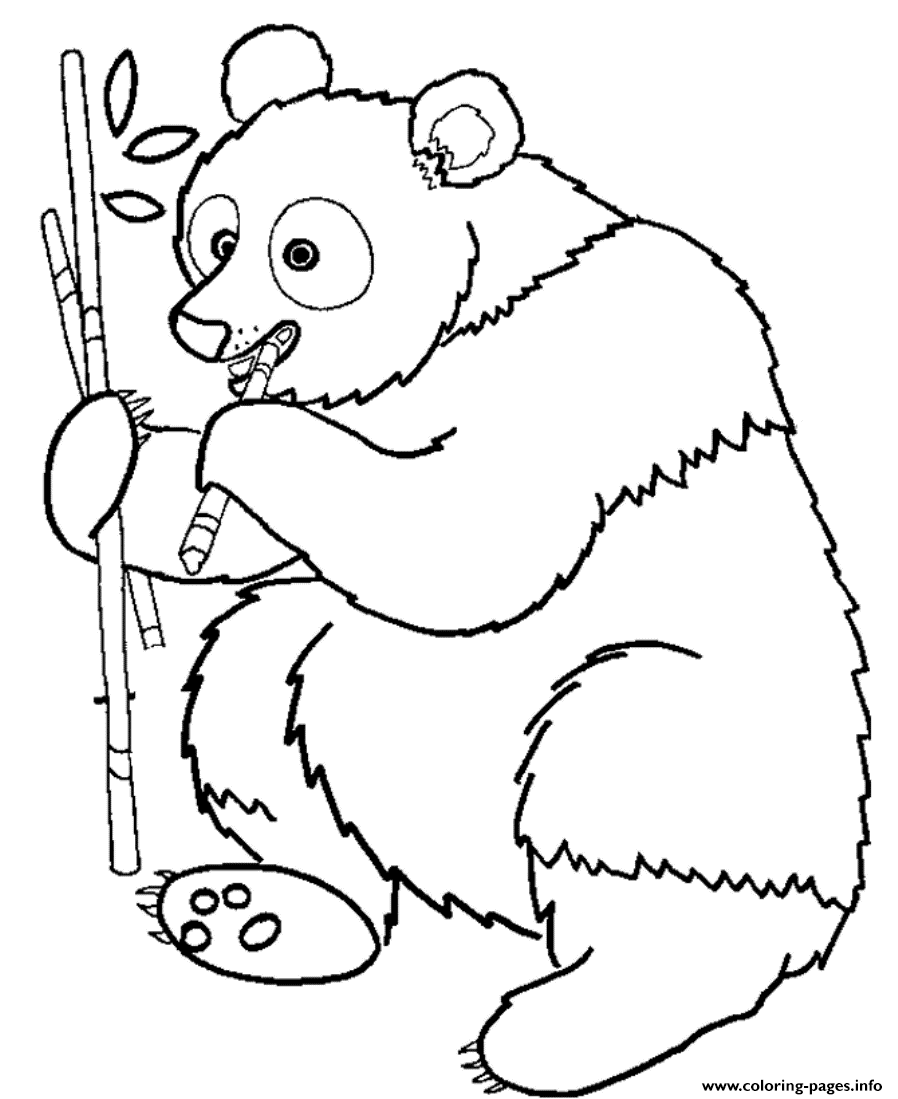 Download Free Printable Animal S Panda Eating Bamboo79da Coloring ...