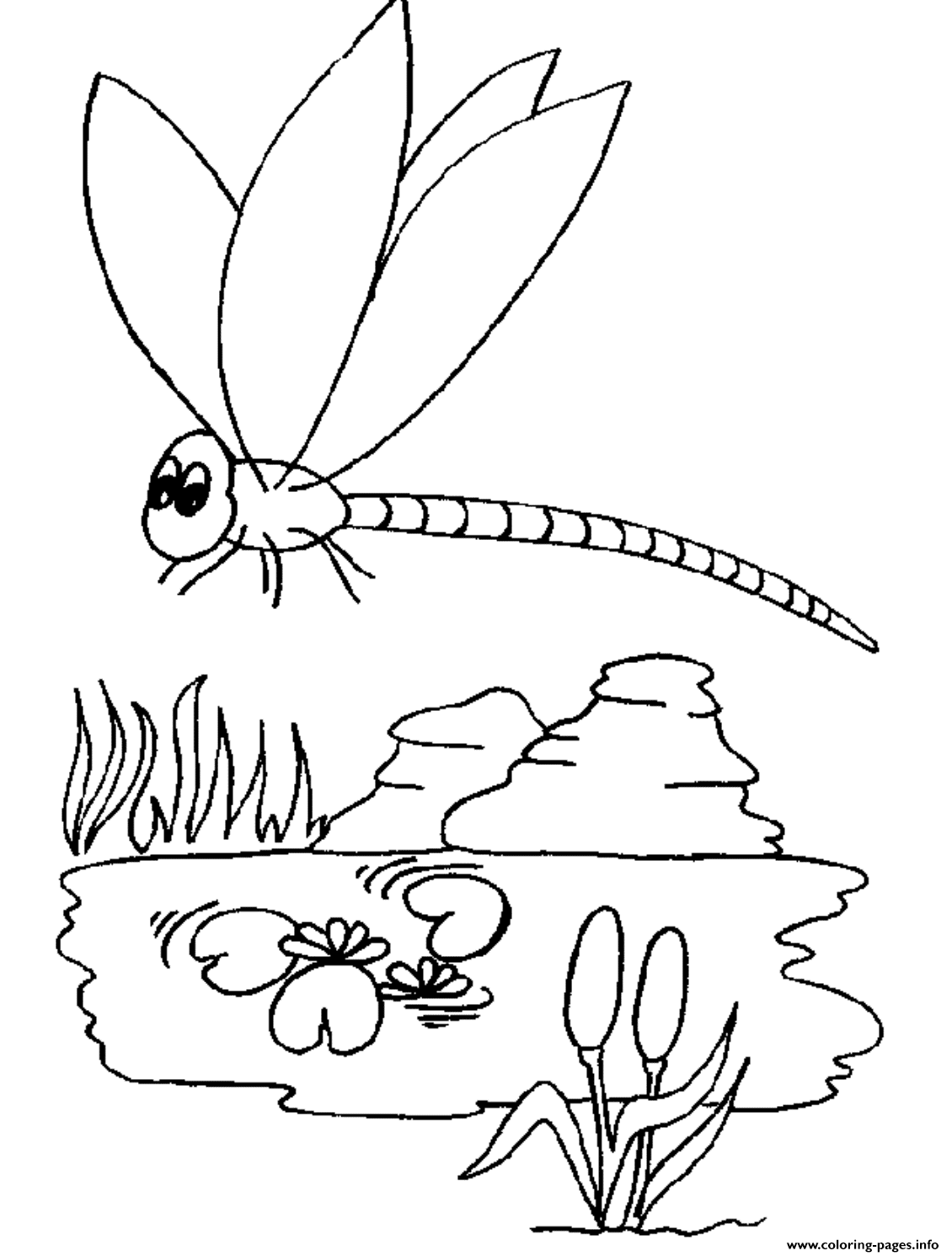 Kids Dragonfly Animal 5b62 coloring
