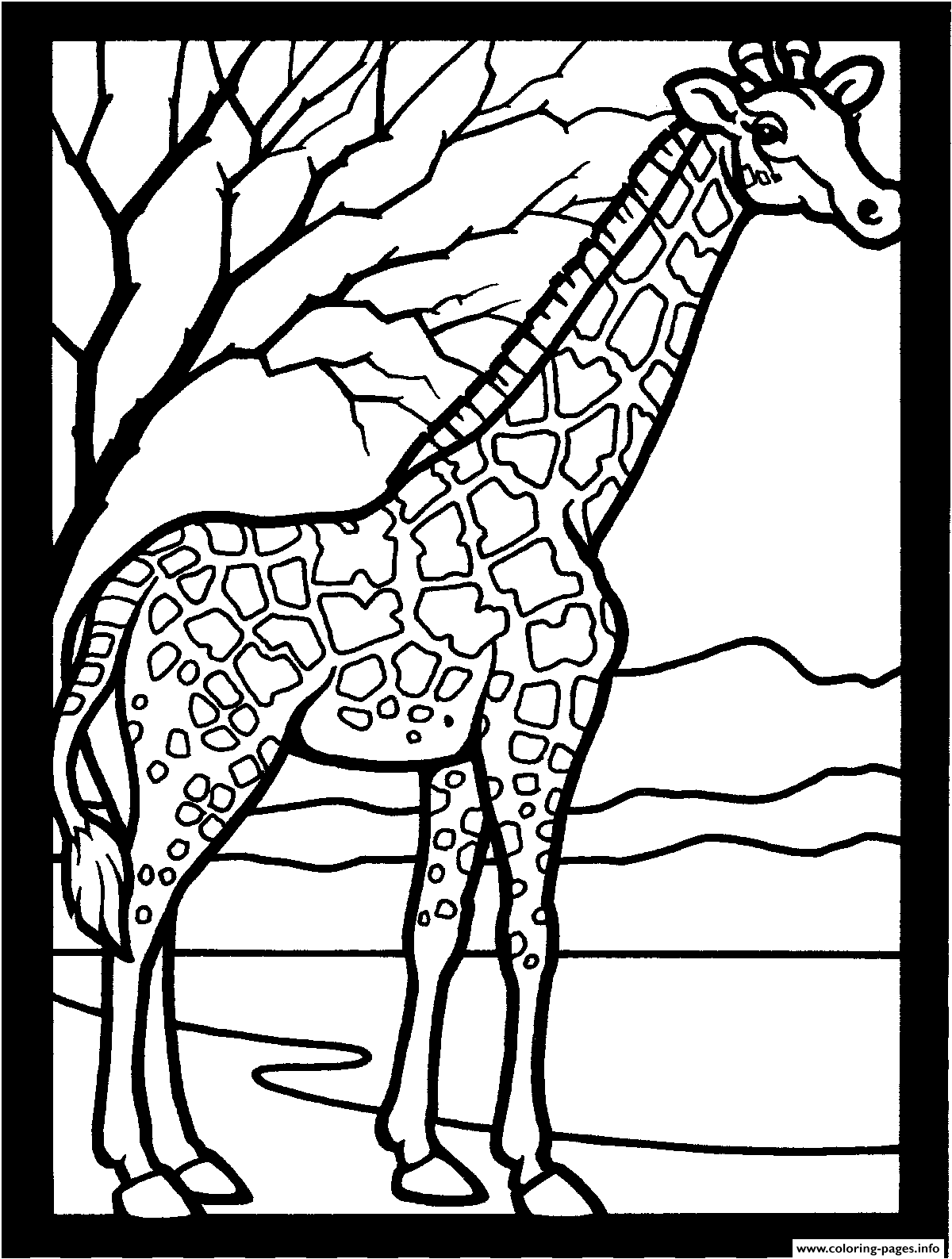 Free African Giraffe Animal Ssec26 coloring