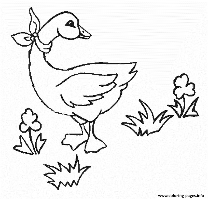 Kids Printable Animal S Goose5789 coloring