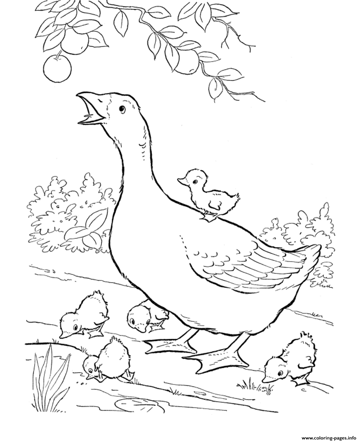 Download Goose Printable Animal Scaf6 Coloring Pages Printable