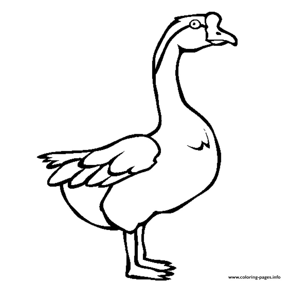 Swan Goose Printable Animal S5ff1 coloring