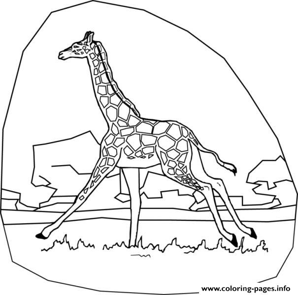 Walking Giraffe Animal Coloring Pagesa98b coloring