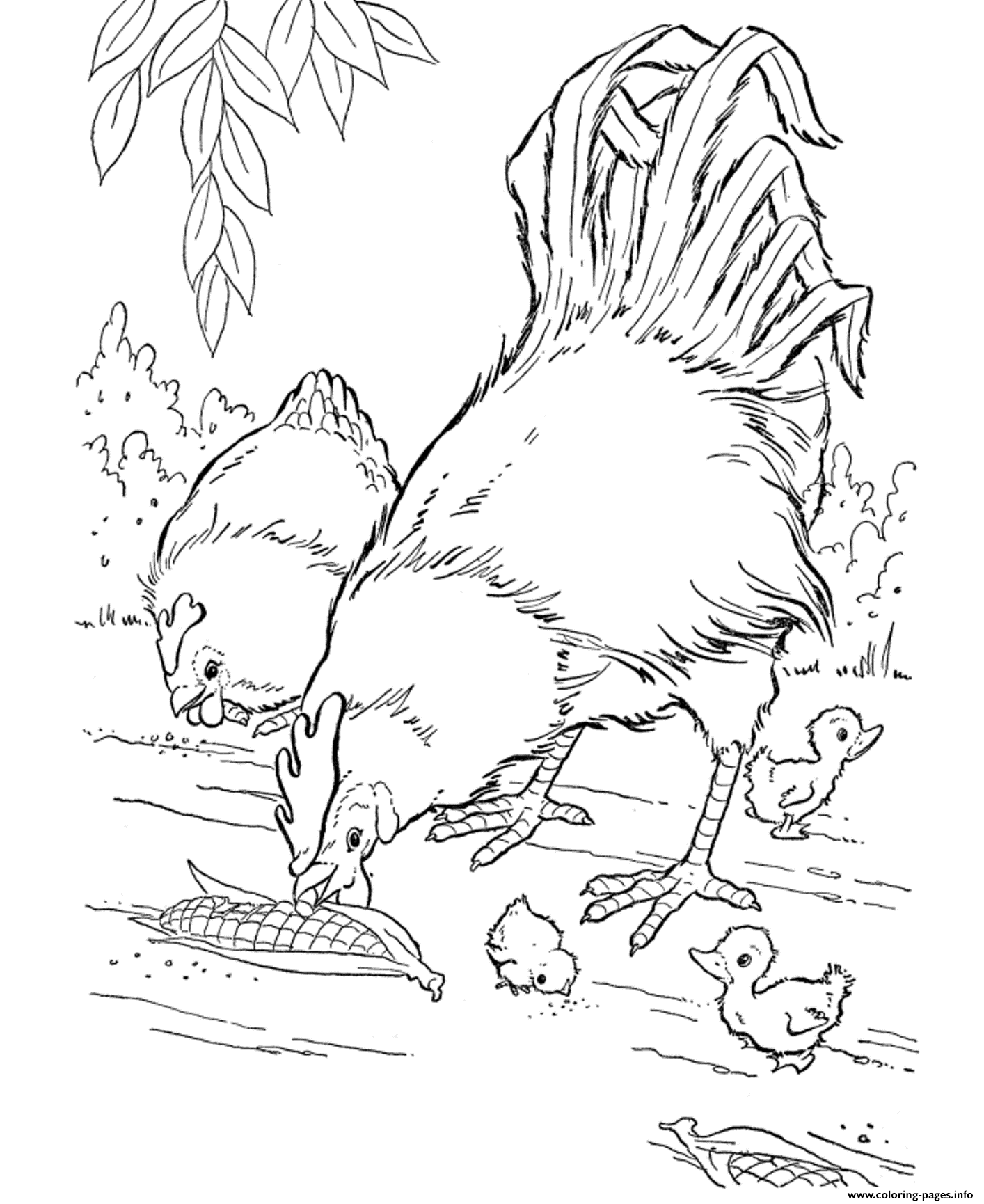 Realistic Hen And Rooster Farm Animal S20cc20 Coloring page Printable