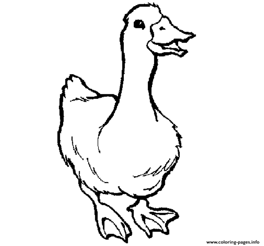 Printable Animal S Goose2032 coloring