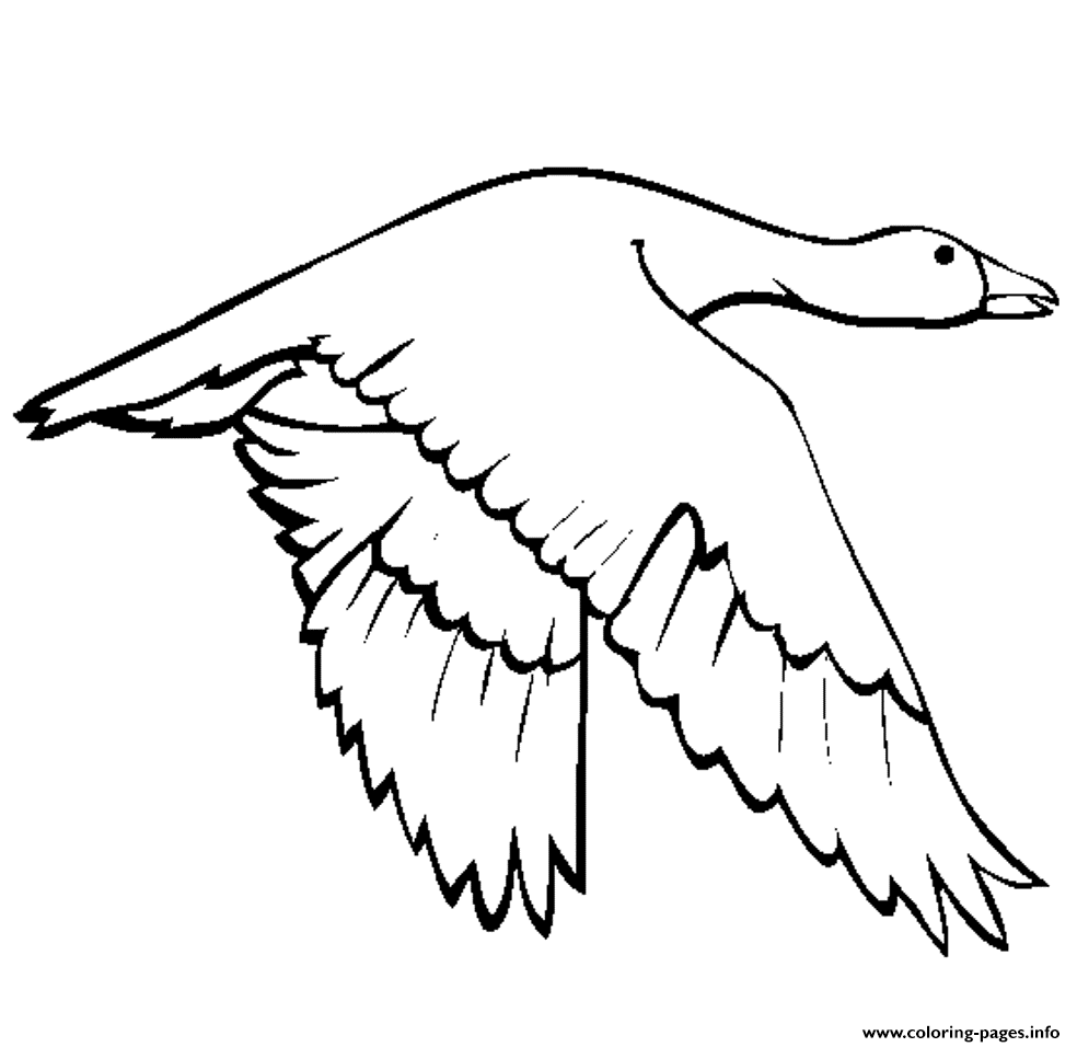Printable Animal S Swan Goose7d5c coloring