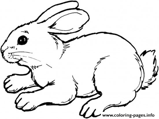 Coloring Pages For Kids Rabbit Animal1bb1 coloring