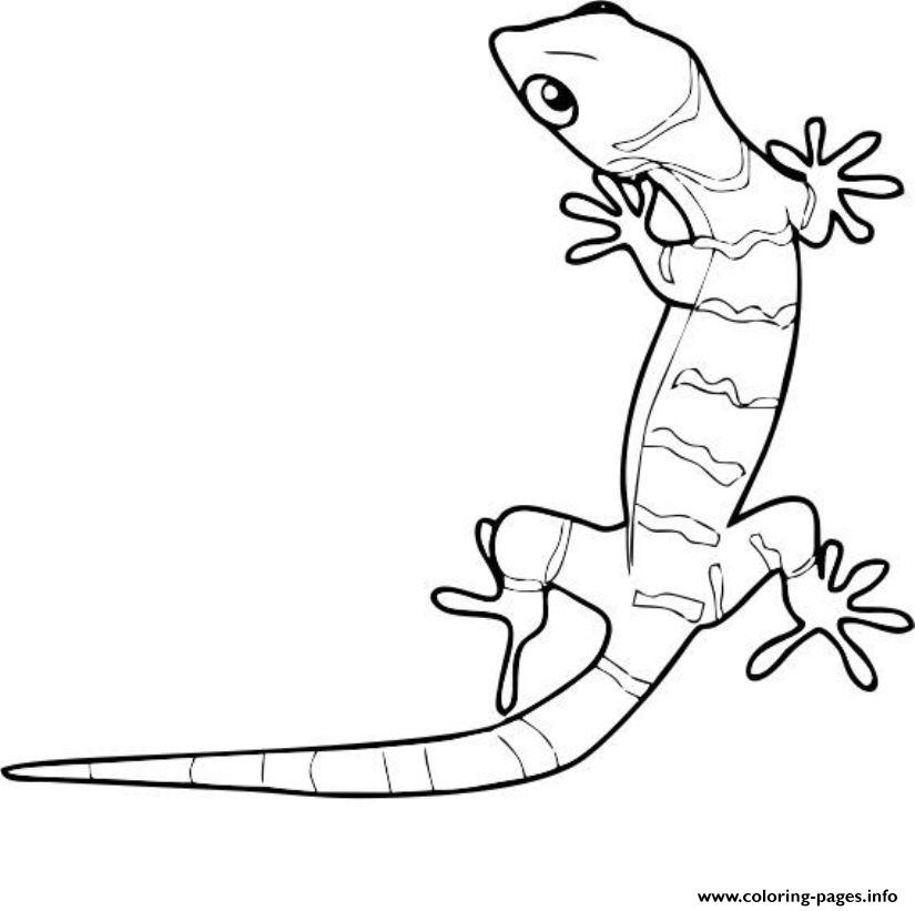 Animal Gecko S1e03 coloring