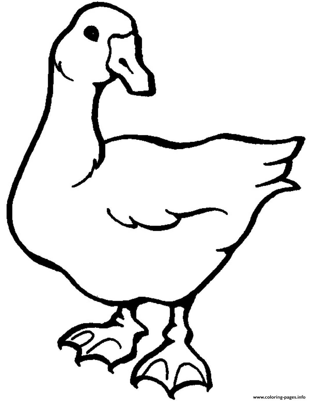 White Goose Printable Animal Sa936 coloring