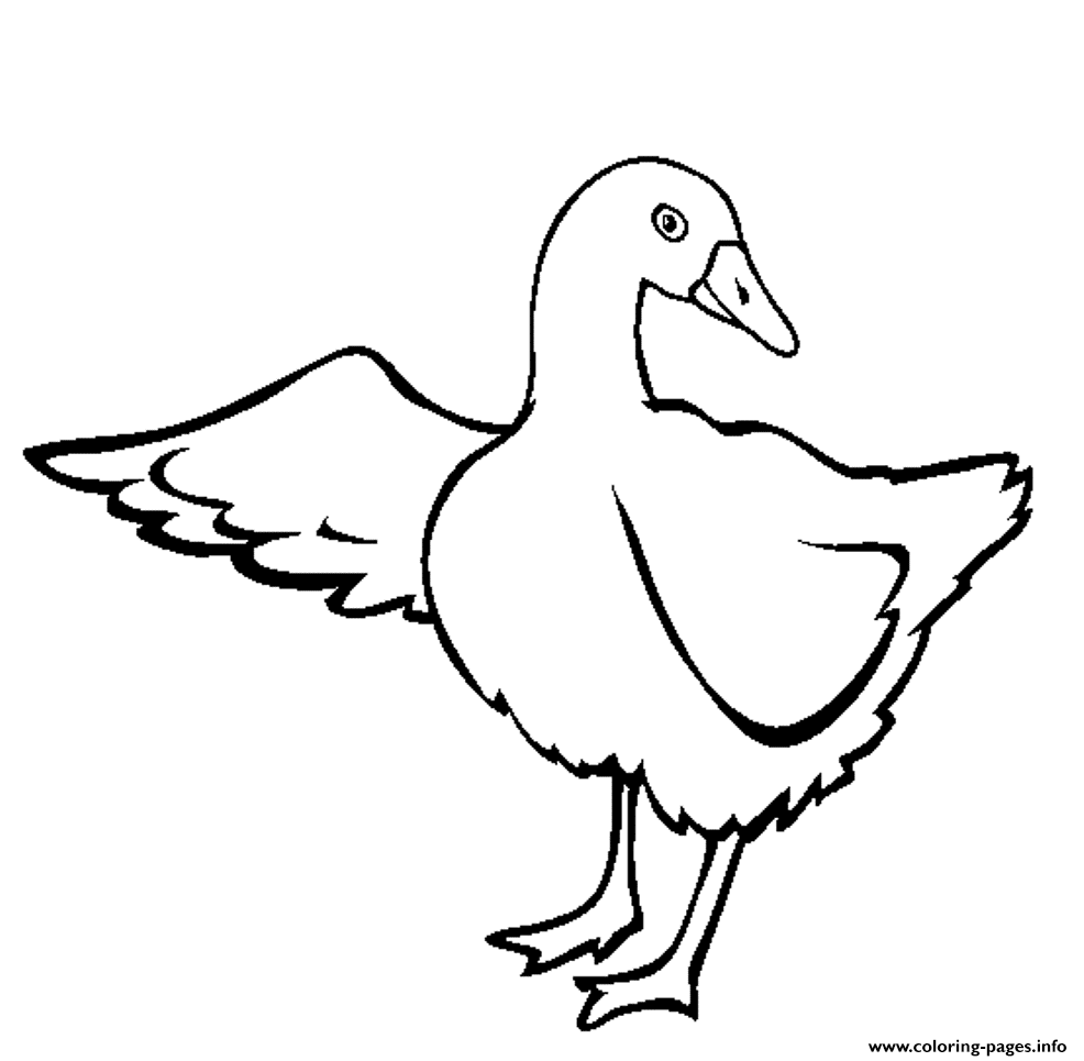 Free Goose Printable Animal Sc452 coloring