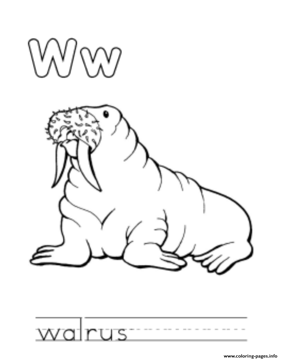 Walrus Animal Free Alphabet S6d06 coloring