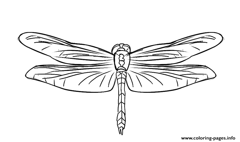 Awesome Animal Dragonfly 2a0f Coloring page Printable