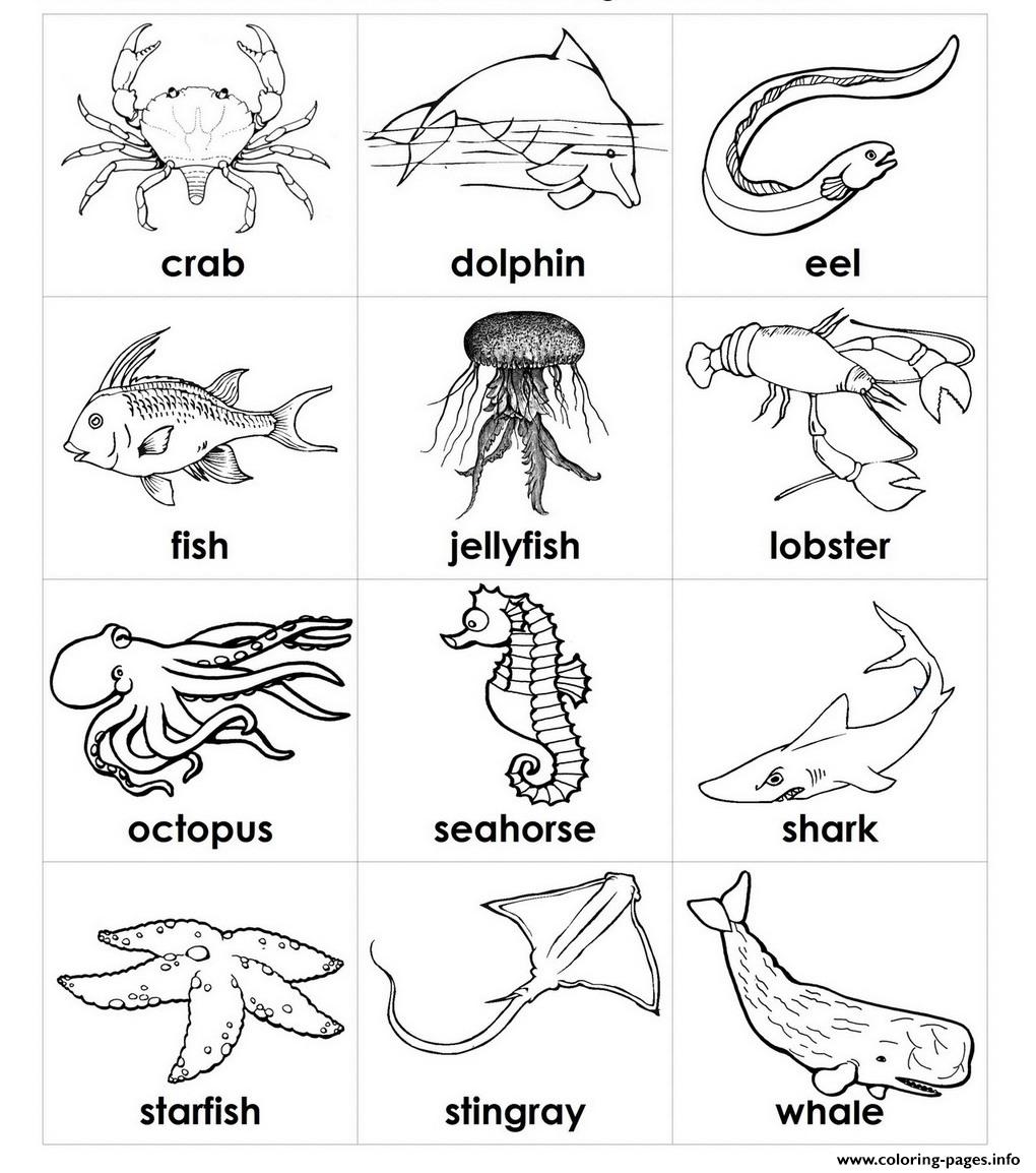 Coloring Pages Of Sea Animals Preschool2b83 coloring