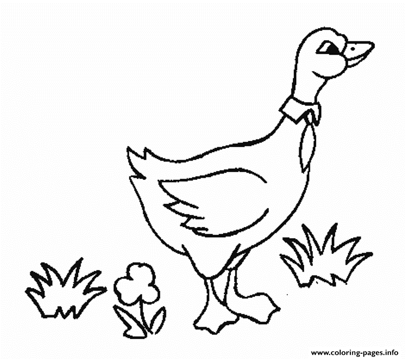Goose Printable Animal S For Kids6cf5 coloring