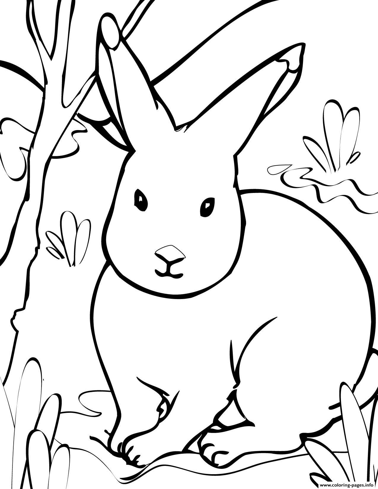 Rabbit S Printable Animals626d coloring