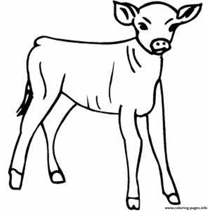 Calf Cow Farm Pages Animal Clipart Coloring Baby Cute Drawings Template ...