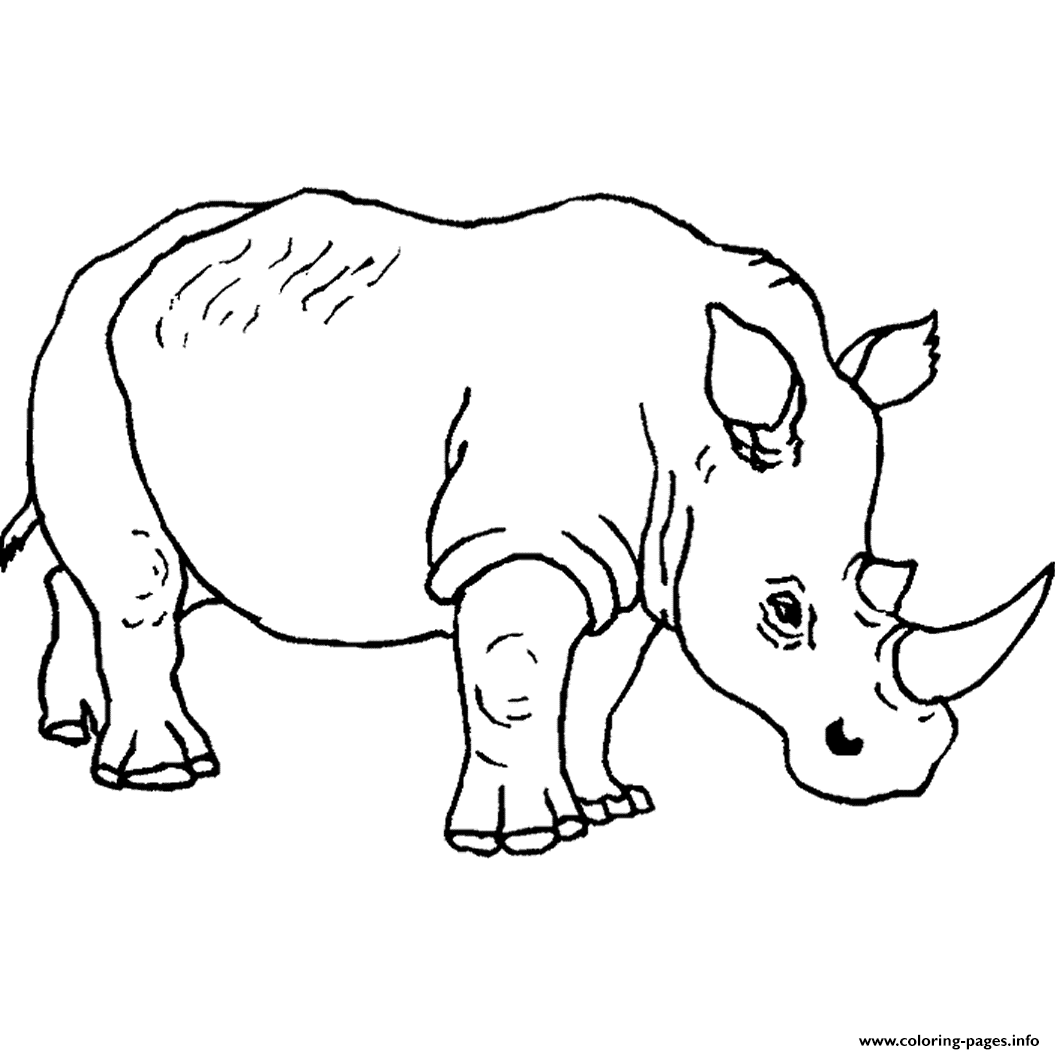 Free Animal S Rhino5d50 coloring
