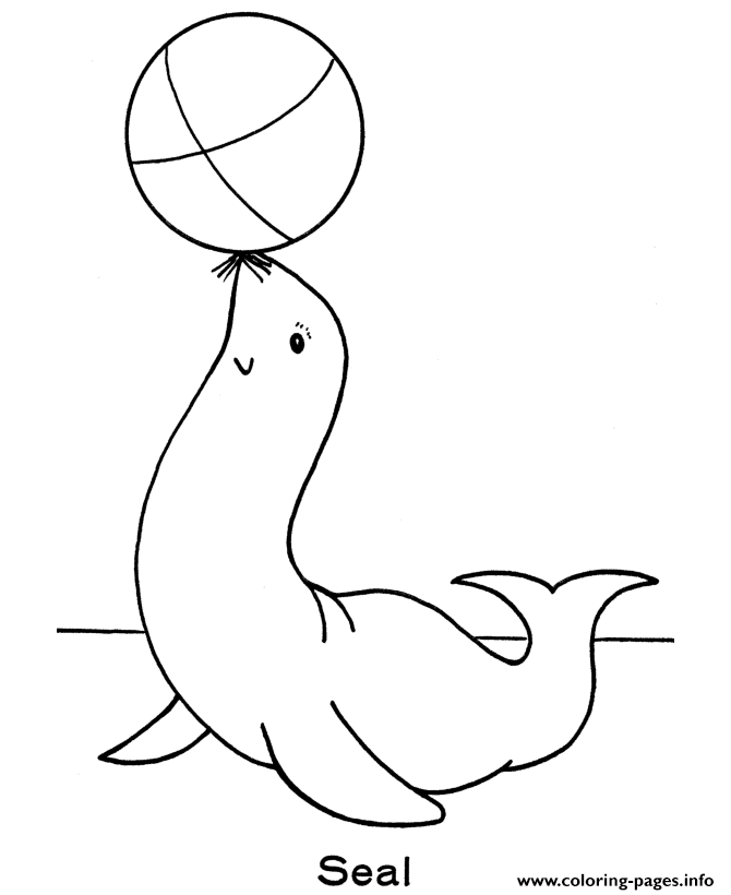 Download Seal Preschool S Zoo Animalsf97c Coloring Pages Printable