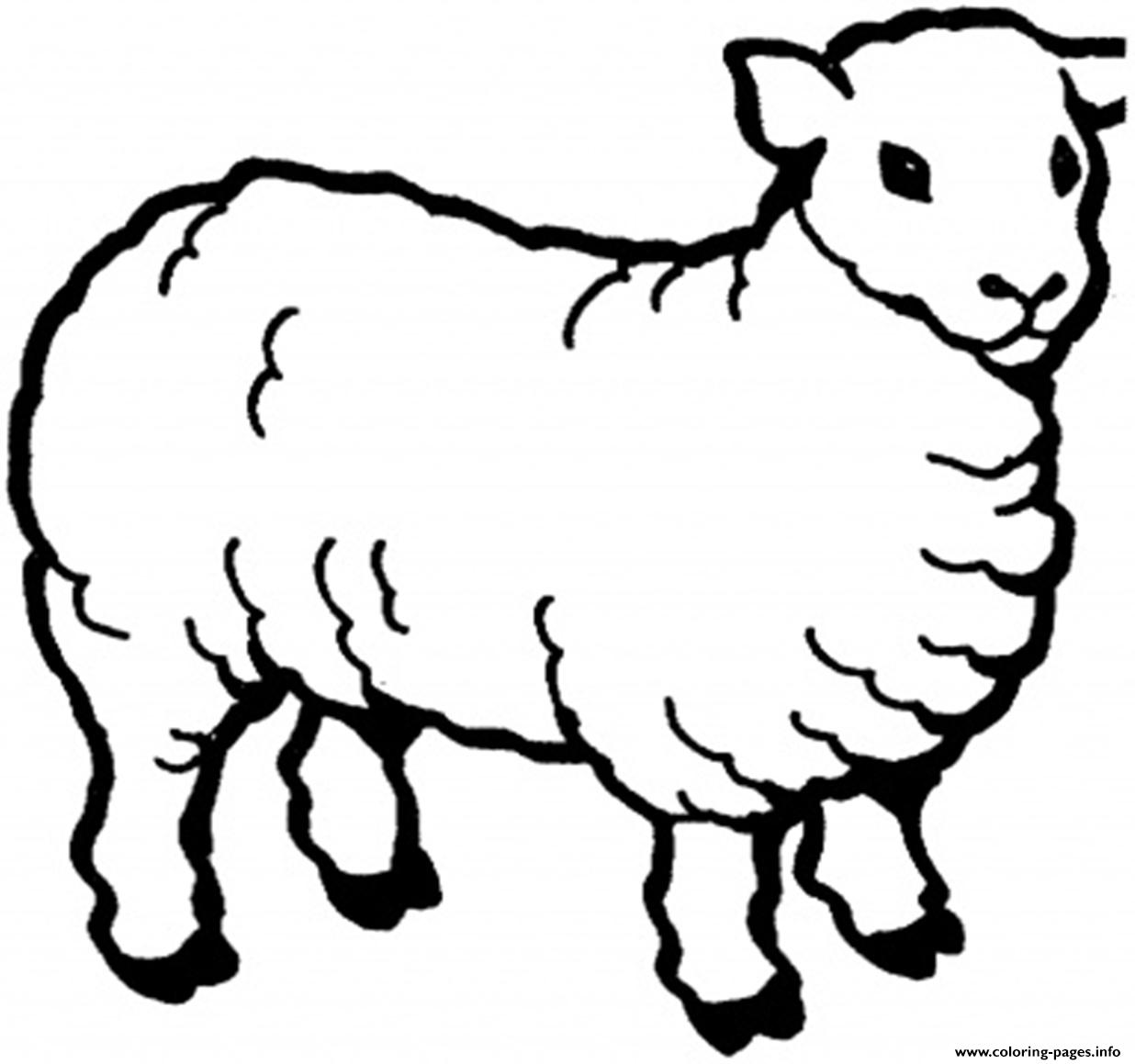 Animal Sheep B01d coloring