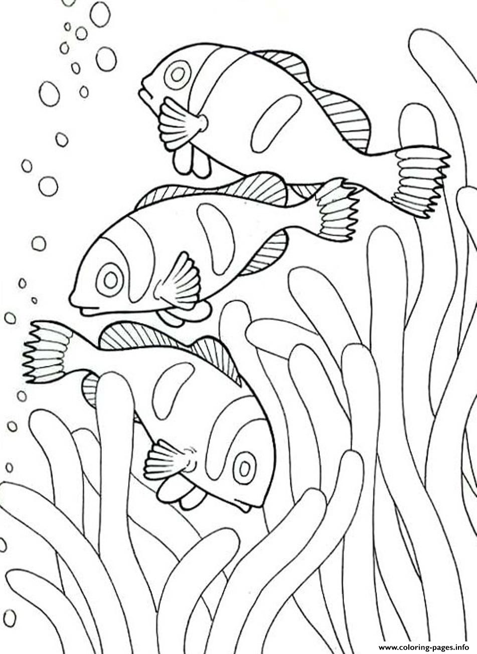 under the sea creatures coloring pages