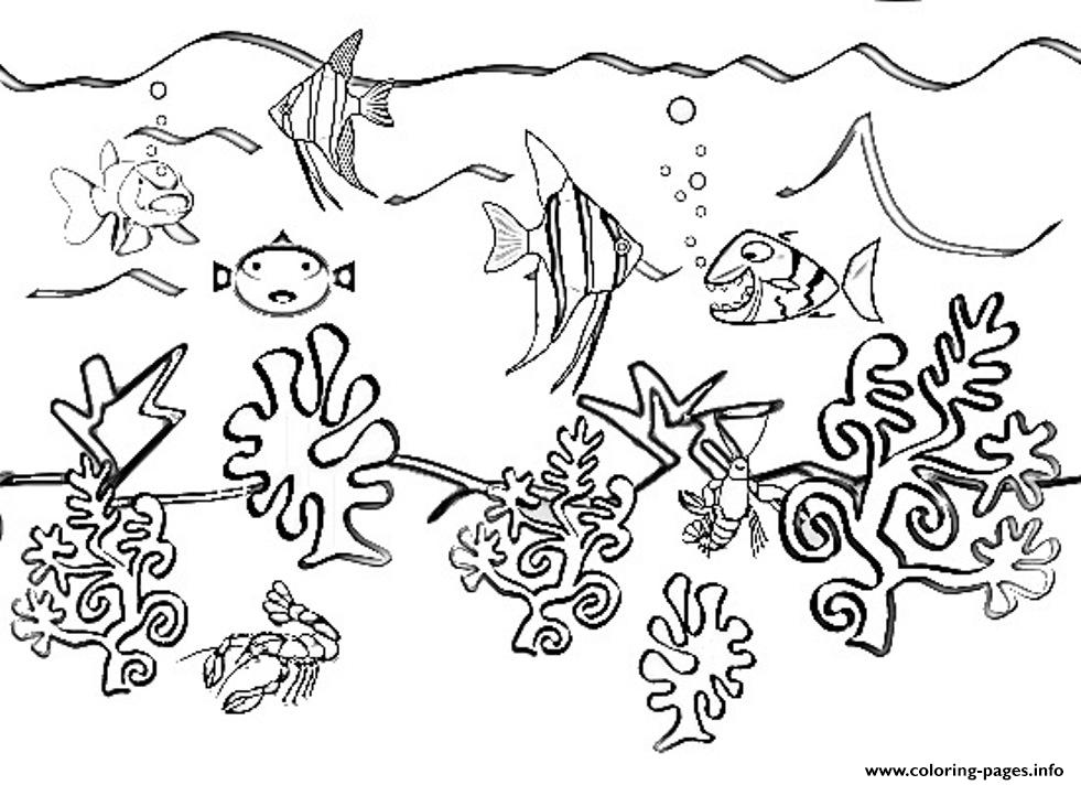 Coloring Pages Of Sea Animals Free54a4 coloring