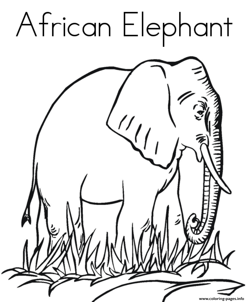 African Animal S Elephantb3c2 coloring