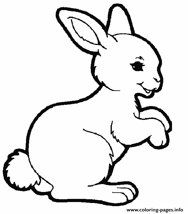 Cute Animal S For Kids Rabbite028 coloring