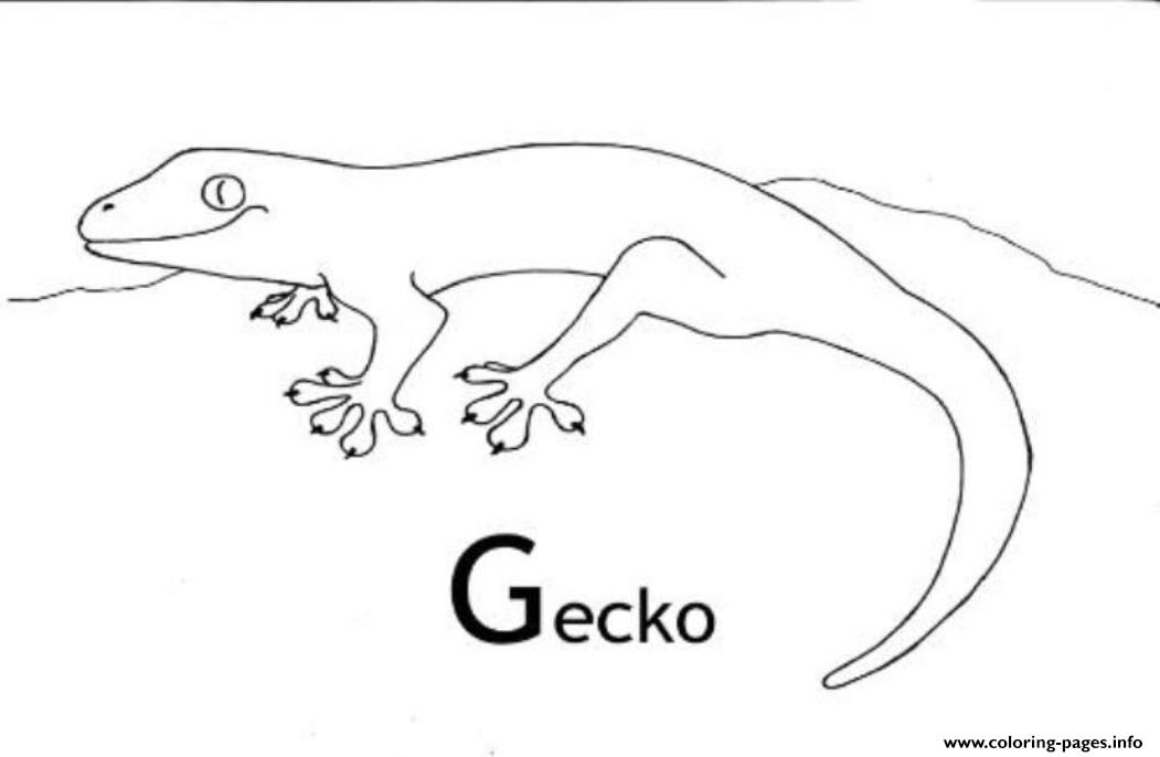 Gecko S Animal557c coloring