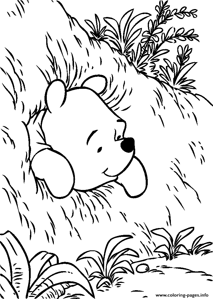 Pooh Out Of Hole Page8653 coloring