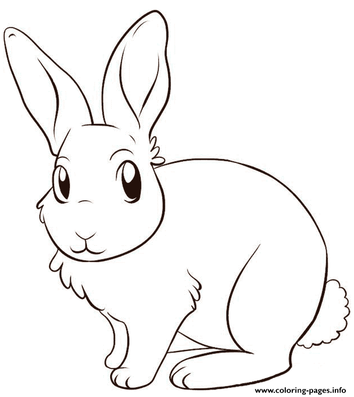 Cute Rabbit Color Pages To Print2389 coloring