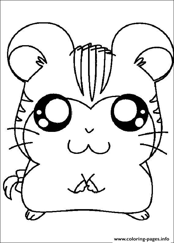 Cute Hamster B3a2 coloring