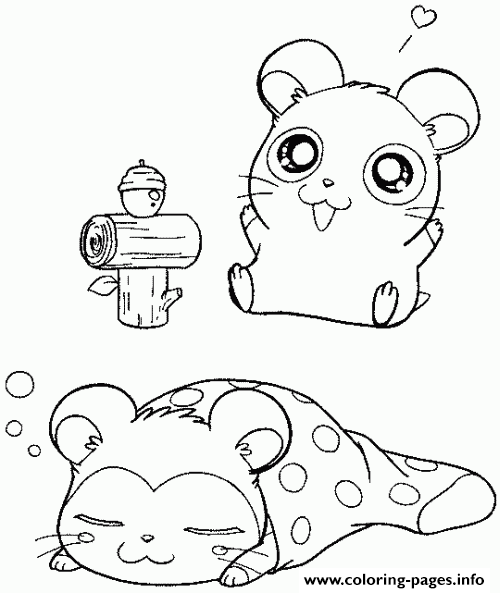 Super Cute Sleeping Hamster Coloring Page8d68 coloring
