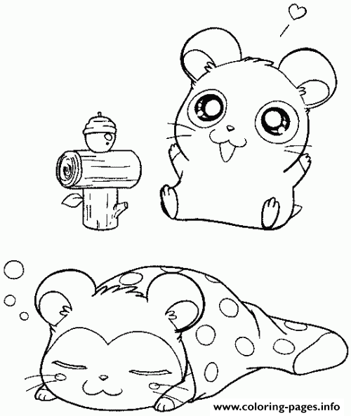 4800 Top Coloring Pages Of Cute Hamsters Images & Pictures In HD