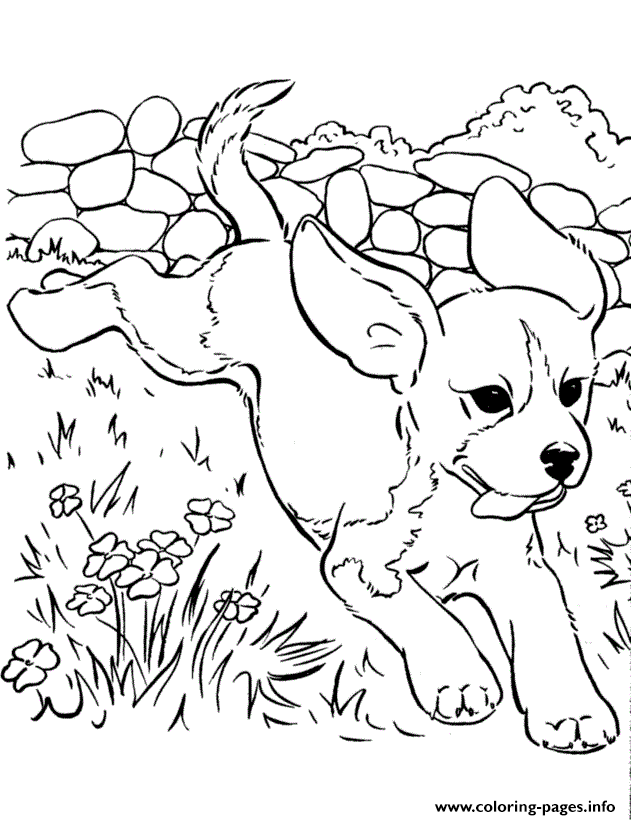 Cute Dog Running Fb8a coloring