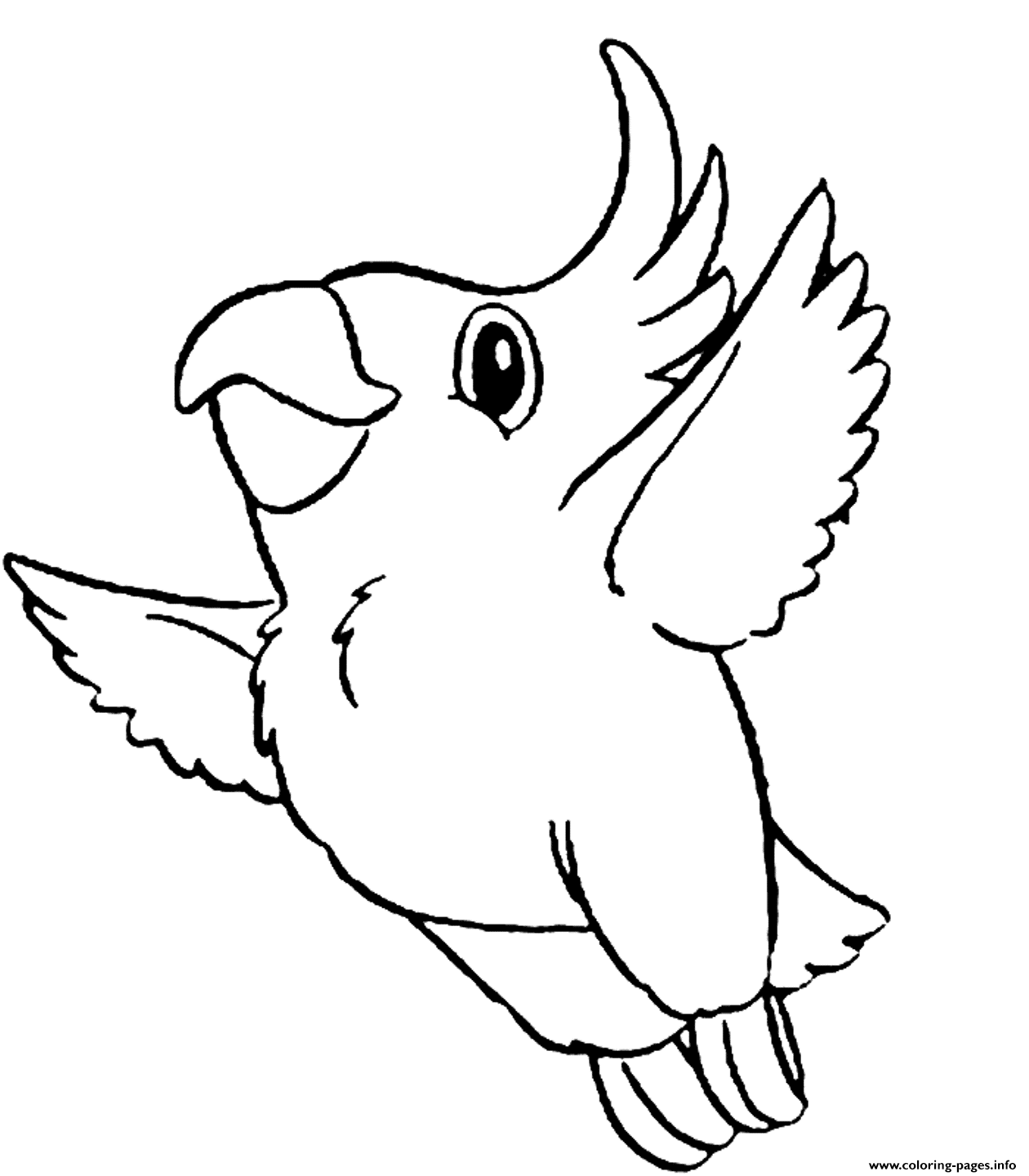 Cute Parrot Bird 367e coloring