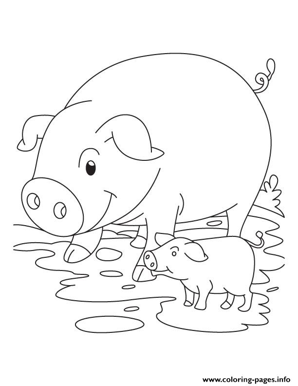 Cute Pig And Piglet S5ee1 coloring