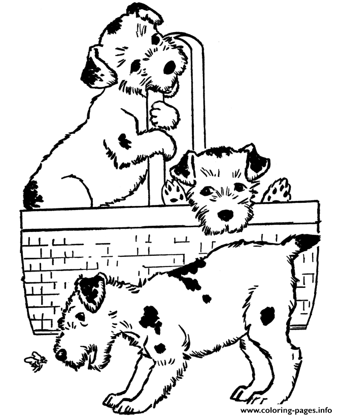 Three Cute Puppies Coloring Page955d coloring