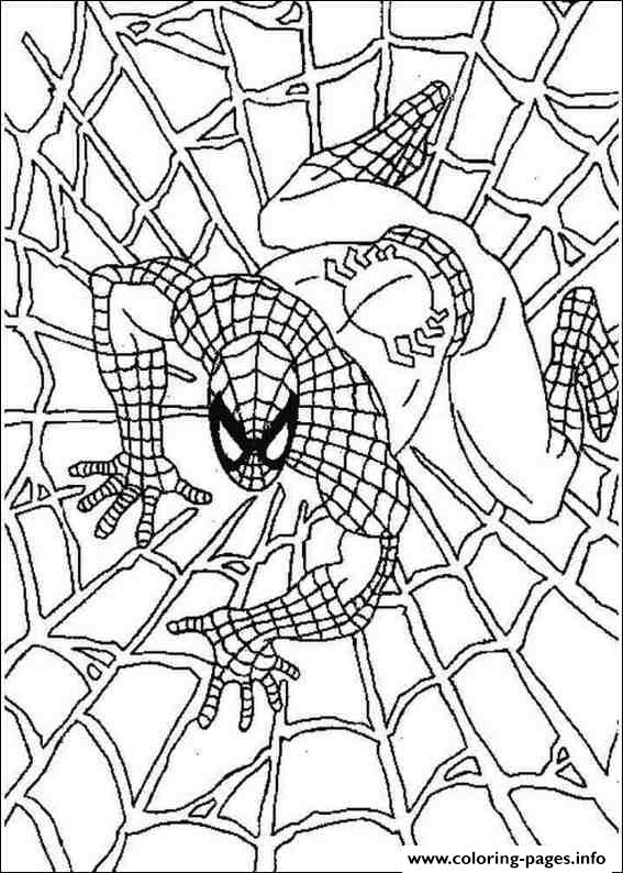 Spiderman Web S1bed coloring