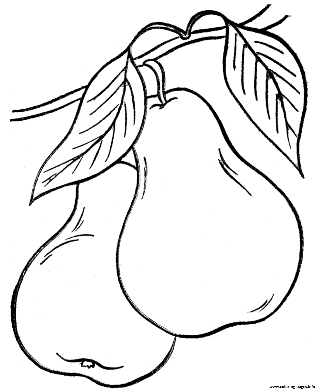 Fruit S Pears2389 coloring