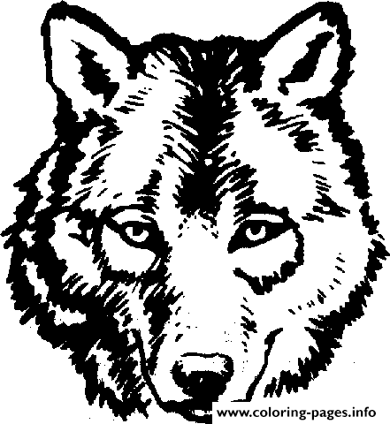 Adult Wolf Face Coloring page Printable