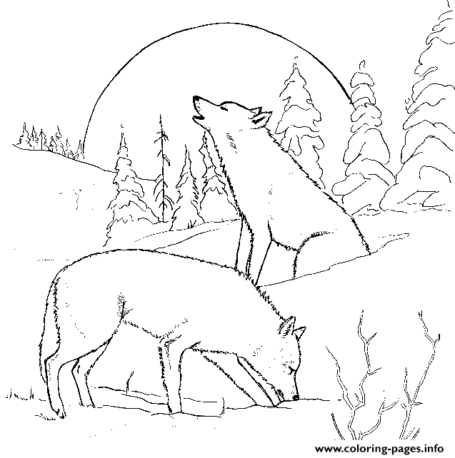 Wolf S For Adults coloring