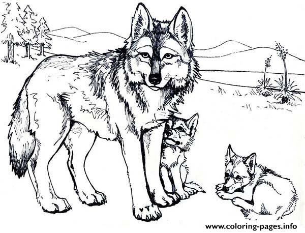 Wolf With Baby Wolfs coloring
