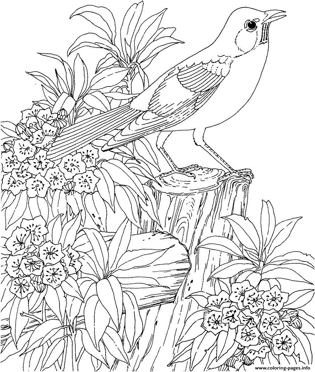 beautiful bird and flower coloring page printable