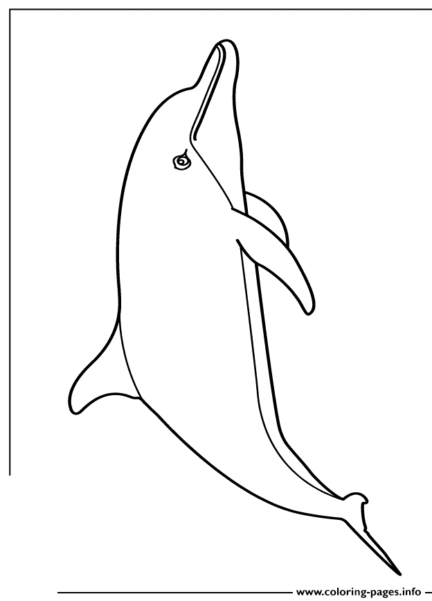 Cute Cartoon Dolphin coloring