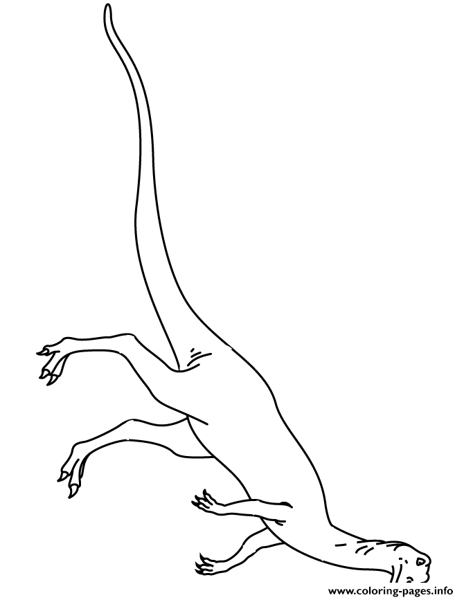 Dinosaur For Kids coloring