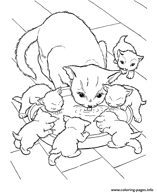 Coloring Pages For Kids Cat9b8c coloring