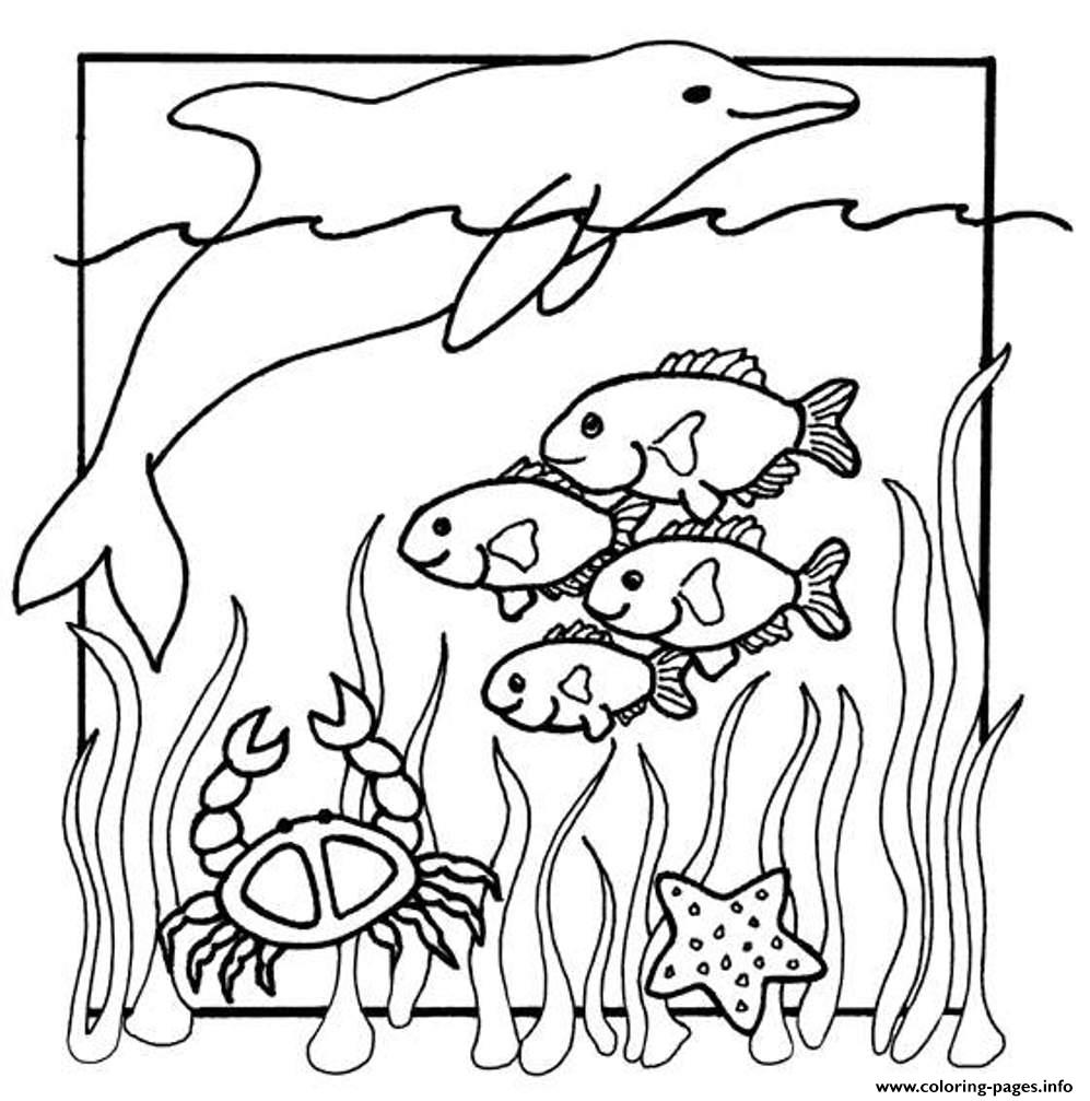 Kids S Of Sea Animals40a9 coloring